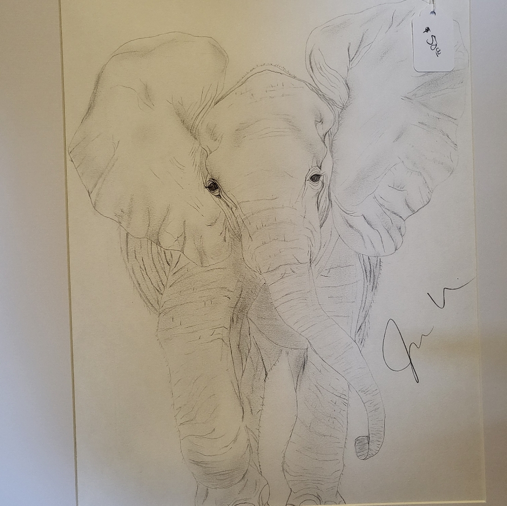 Artist Debut pencil art